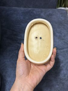 Ceremic Soap Case