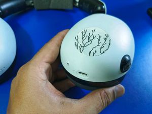 Sony Wireless Gaming Headset (Modified)