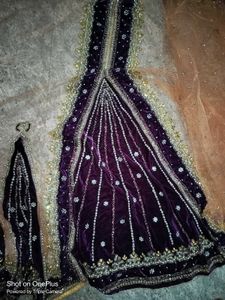 Festival Saree