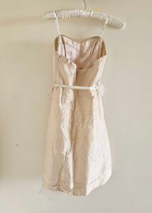 Elegant Dress