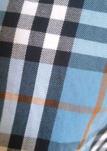 Blue Plaid Button-Down Shirt