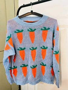 Combo Of 4 Sweater