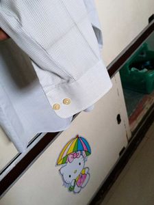 Striped Dress Shirt