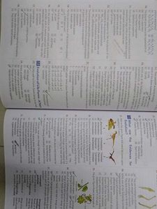 Objective NCERT Biology XI+XII By MtG