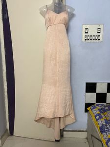 Pintrest Elegant Cream Tail Gown