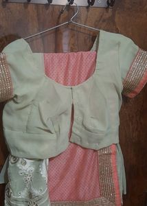 Beautiful Peachy Pink Saree with embroidery