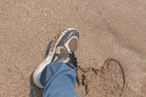 ZUDIO MONOCHROMATIC SHOES (SIZE-8)