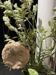 Fuzzy Butterfly Handbag