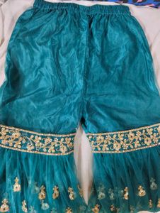 Gorgeous Pakistani Embroidered Suit