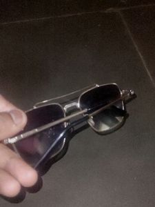 Animal Movie Sunglasses