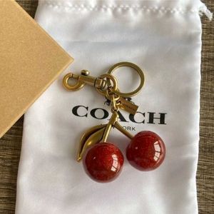 Key Chain Anti Tarnish