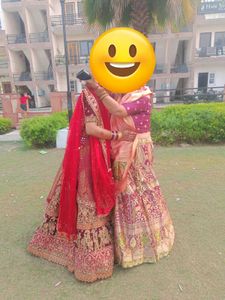 Lehenga Choli