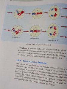 Biology Class 11