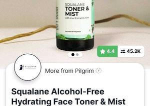 Pilgrim Toner And Mist