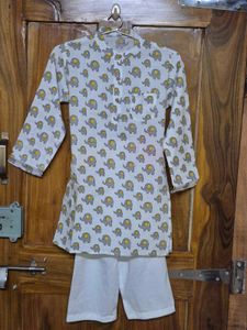 Cute Elephant Print Kurta Set (Avl Sizes 2-7 Year)