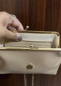Pretty Sling Bag And Clutch
