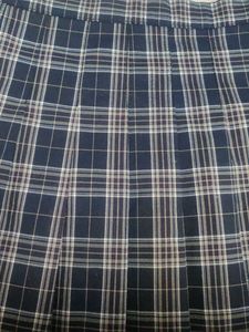 Skater Pleated Skirt