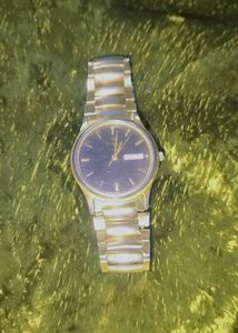 Titan Watch