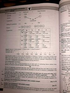 Target publications 🎯 (Collection Of Pyqs) 12th