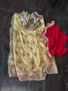 Embroidered Lehenga Choli