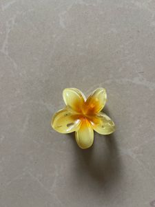 Flower Hair Clip Aesthetic
