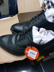 PRICE DROP Liberty Leather Shoe