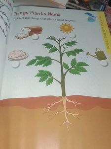 Activity Book For Kids