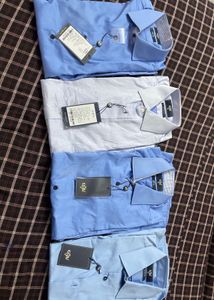 New EIGIO Shirts - Slim Fit