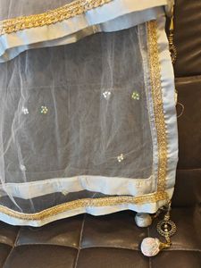 Elegant Net Dupatta