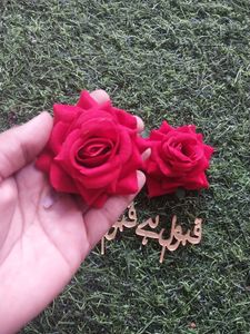 Red ROSE &amp; Qubool Hai TAG IN Arabic