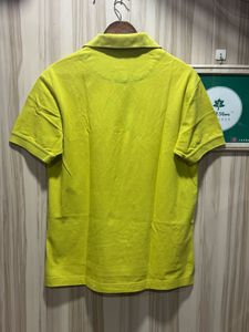 Thomas Burberry Chartreuse Polo T-Shirt