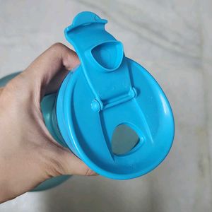 Blue Jug