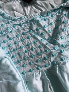 Light Blue Embroidered Top