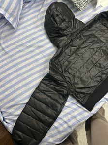 Sassafras Black Puffer Jacket