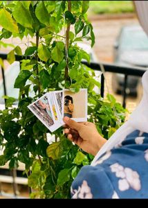 Only 10 rupees For One Polaroids