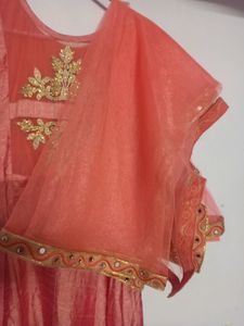 Peach Pink Umbrella Silk Gown