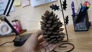 Oak Tree Pine Decoratives