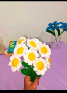 White 🤍 Flowers