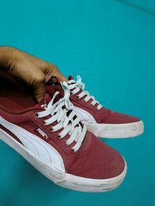 Puma Sneakers For Men