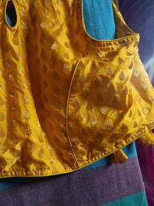 saree with sleeveless blouse