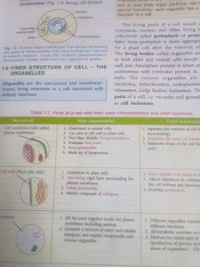 CLASS 10TH ICSE SCIENCE BOOKS , Selena Publishers