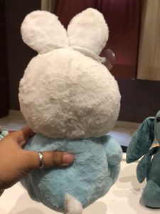 Bunny Plushie Set