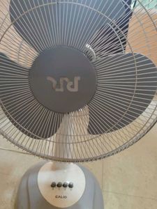 Fan