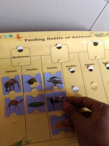 Animal Feeding Habits Puzzle