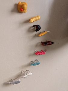 Animal Toys