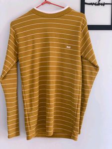 Yellow Colour Sweatshirt