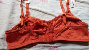 Zivame Women Double Layered Bra