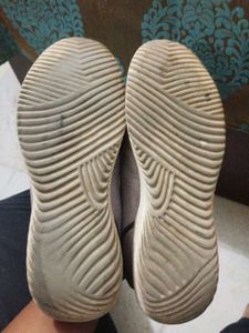 campus shoes