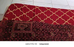 Patola Hand Work Saree