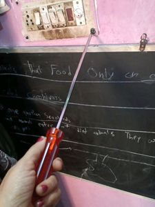 Big size Pagecus